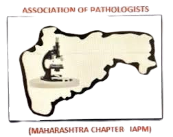 MAPCON LOGO